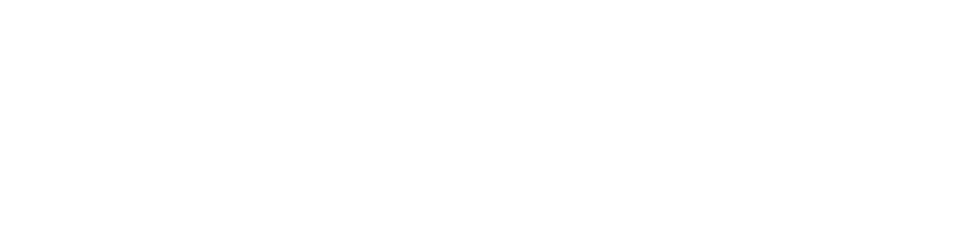 nordlight logo